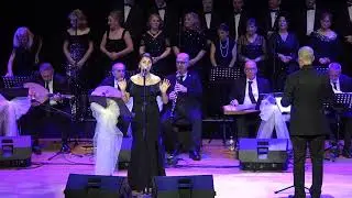 Ebru Ekmekcioğlu / Gökyüzünde Yalnız Gezen Yıldızlar