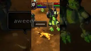 Elemental vs Enhance Shaman🔥⚡ 