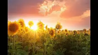How to provoke a new season | Pastor Isaac Oyedepo