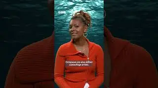 Why octopuses are so incredible! 🐙 | BBC Ideas #shorts