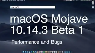 MacOS Mojave 10.14.3 Beta 1 - Performance and Bugs