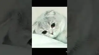 Самые лучшие имена про девочек 😍