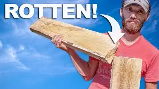 You Better Be Careful With These Trees