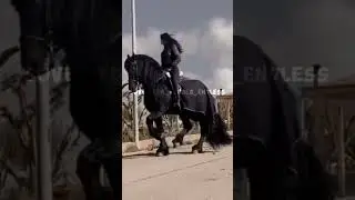 #лошади