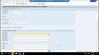 BRF+ Output determination- Hands on