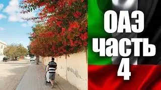#ОАЭ