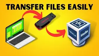 How to copy files from local machine to kali linux vm using usb || Kali Linux || Virtual Machine