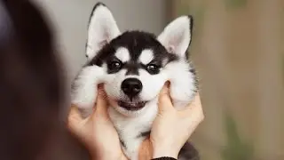 Как можно получить много шмота с жителя