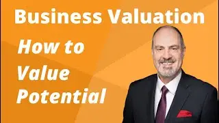 Hidden VALUE in Potential? How to Buy a Business.