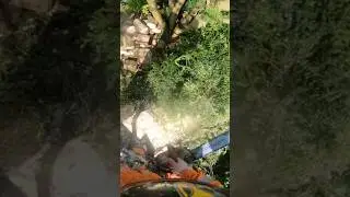 Dropping logs
