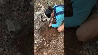 Раскопки / Нашел танк / фотка в телеге astapenkoya