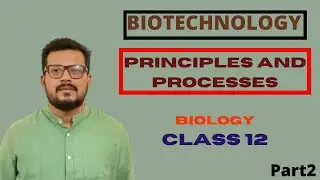 BIOTECHNOLOGY :PRINCIPLES AND PROCESSES PART 2 | Class 12 | ncert