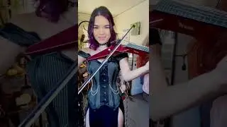 Sonne by Rammstein goes ELECTRIC violin 
