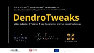 DendroTweaks Tutorials | Tutorial 2: Loading models and running simulations