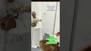 #стример