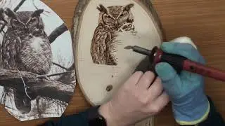 Woodburning an Owl