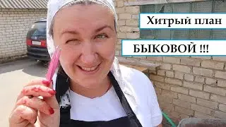 ДЕРЕВЕНСКИЙ ДНЕВНИК 😱/ ХИТРЫЙ ПЛАН💥