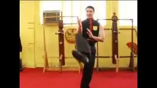 Wing Chun Chain Kicks - Tutorial by Sifu Tei