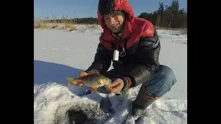 Гарна зимова риболовля ❄️у затоні на річці Уж. Чудова природа 🌲і чисте повітря. Риболовля в Україні.