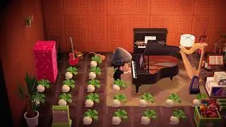 Animal Crossing New Pianos