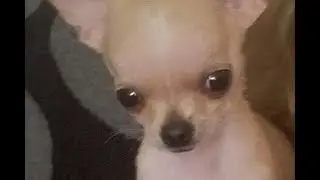 Why i didn't make any videos past week