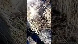 Утилизирую газовый балон с помощью мощной петарды 💣💥18+