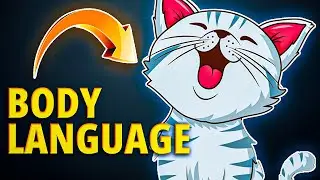 10 Mins To UNDERSTAND Cat's Body Language FROM A-Z!