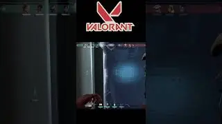 Sorpresa 
