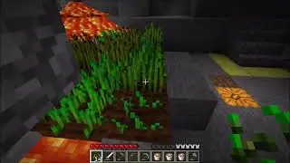 Minecraft 404 Challenge Together (Guano) - Ep29 - A lot of Cats