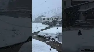 Chinese New Year Ski Nozawa Onsen Japan