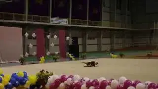 Daria Kobets freehands Ukrainian team championship