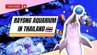RAYONG AQUARIUM IN THAILAND🇹🇭