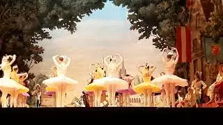 Л. Делиб Коппелия 2