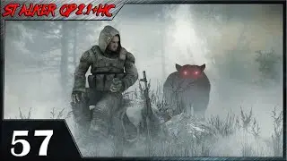 Прохождение  STALKER Народная Солянка + ОП 2.1 - Спасение бандита в Лабиринте#57.