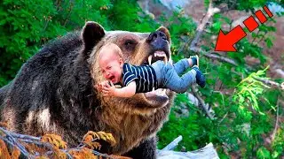 The bear carried the child onto the road. You won't believe what happened next!