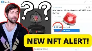 Attention NFT Holders! You're Missing Out If You Haven't Heard Of These New 