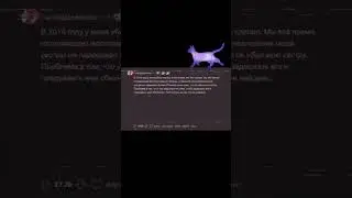 #реддит