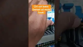 genset perkins 