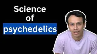 Are psychedelics good or bad?