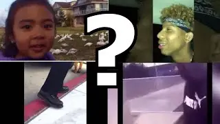 Where Do Dead Memes Go To Die?