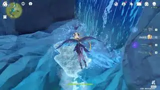 genshin impact mysterious or bug !?