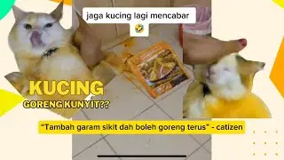 Kucing Viral | Sikit lagi nak jadi Pikachu! 😹