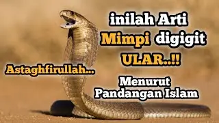 Arti Mimpi Digigit Ular. Menurut Padangan Islam || Cara Mengatasinya