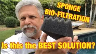 Sponge Aquarium Filter Media - Is it the Best?