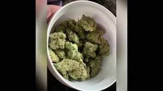 DR.DRE-KUSH💯🥳🤩Rmx