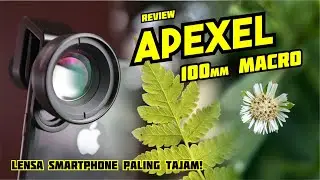 Review Lensa Macro Terbaik untuk Smartphone