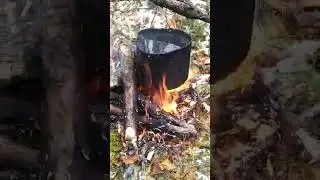 На природе классно