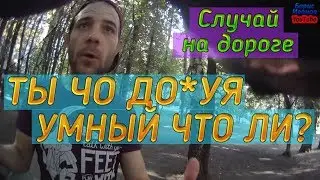 Случай на Дороге Животное