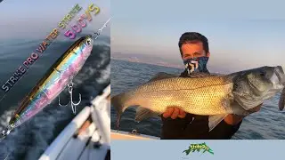 Su Üstü WTD Aksiyonu İle Levrek Avı