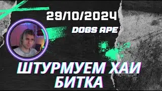 ШТУРМУЕМ ХАИ БИТКА DOGS APE NOT COIN
